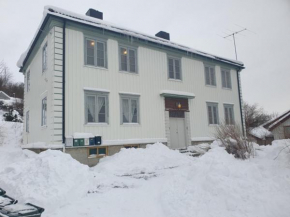 Casa tipica noruega 1904